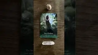 Timeless Pisces oracle card reading #pisces #piscesreading #cardreading #piscessun