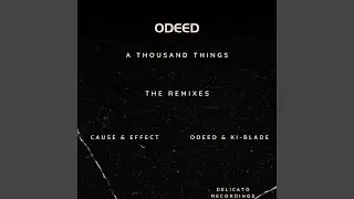 A Thousand Things (Cause & Effect Remix)