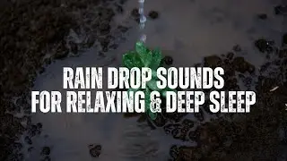 Continuous Rain Drop for Sleeping Sounds for Relaxation & Deep Sleep
