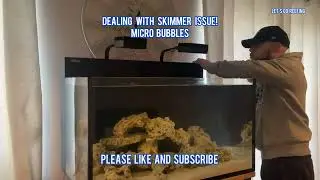 Red Sea Skimmer Problem! #coralreef #fishtank #reeftank #aquarium  #redsea #shorts #saltwatertank