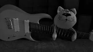 SIRIS - NOVEMBER THALL #thall #modernmetal #guitar #djent  #music #humanityslastbreath #vildhjarta 