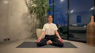 Post flight Stillness- 11 min's Meditation for Pilots