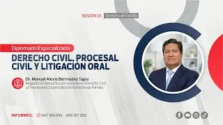Derecho de Familia | Manuel Alexis Bermúdez Tapia