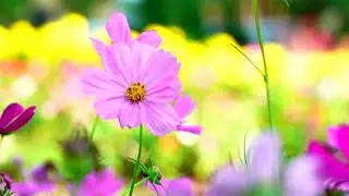 Beautiful Relaxing Hymns, Peaceful piano Music, 