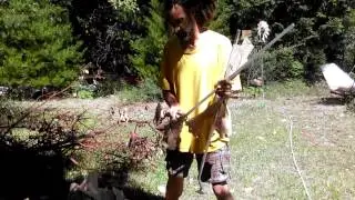 Unpacking Gold Hog Monster Hog High Banker