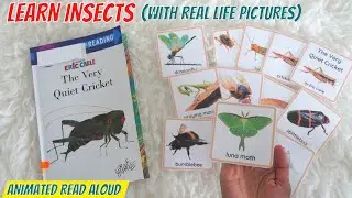 The Very Quiet Cricket by Eric Carle Read Aloud Book for Children | Learning Videos for Toddlers