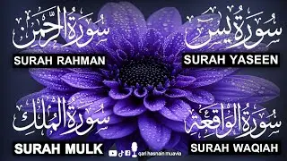 Surah Yasin ❤️ (Makki), Rahman, Waqiah & Mulk | Ep 248 | Daily Quran Recitation & Blessings