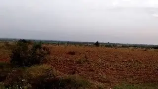 Maindanahalli Black buck sanctuary