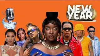 NEW YEAR Tracey Melon X Spice Diana X Vyroota X Sheebah X Omega 256 New Ugandan Instrumental