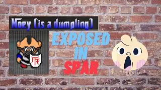 Graal Era- Moey gets destroyed in spar by a girl!