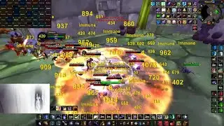 Turtle WoW Naxxramas Doom Turtles 46:22 server record