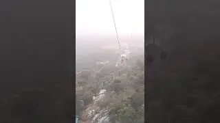 Ropeway#funny #animals #travel