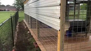 Addition to the custom kennel