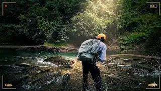 LUBANG BAWAH TANAH TEMPAT PERSEMBUNYIAN IKAN
