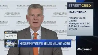 Stock market carnage will get worse: Morgan Creek Capital CEO