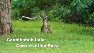 Coombabah Lake - Gold Coast