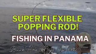 Nonstop Bending! 🇵🇦 Black Hole USA 8&rsquo; Magic Eye 804 Popping Rod