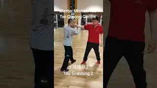 Тайцзи захват 2 #боевые искусства #кунгфу #ушу #тайцзицюань #тайчи #здоровье