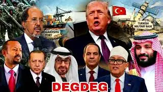 DEGDEG AH 