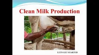 Clean Milk Production...#LPM
