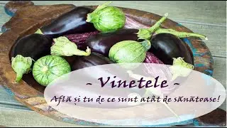 Vinetele - Află și tu de ce sunt atât de sănătoase! - Leacuri&Sfaturi Despre Sanatate