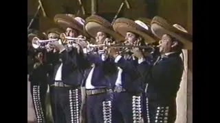 9th Annual Tucson International Mariachi Conference Concert - Mariachi Cobre, Camperos & Vargas 1991