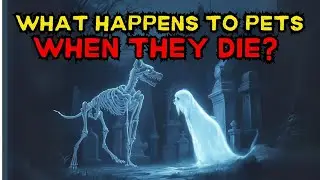 What Happens to Pets When They Die? Do Animals Have Souls? | Biblical Explain | Sacred Pathways