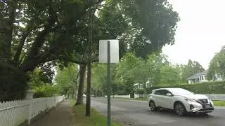 Bellport Walk 08/18/2024 Part 1 @Long Island NY Views