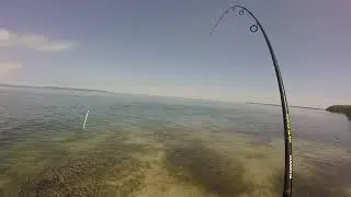 Islamorada quick paddle and fish on the BOTE HD