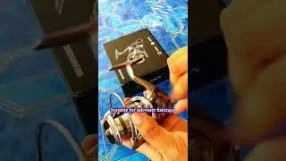 BEARKING ASSASSIN SW FISHING REEL🔥 #fishingreel #bearking #fishinggear