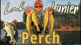 Winter Ditch Fishing - Potential Lake Record!