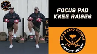 Focus Pad Knee Raises - Sea & Land Fitness Exercise Library