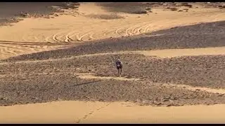 Short film on Steve Partridge - City Entrepreneur and Ultra Runner