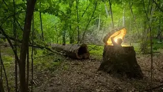 A Man Built a Hidden Underground Shelter by Himself@PolissyaBushcraft
