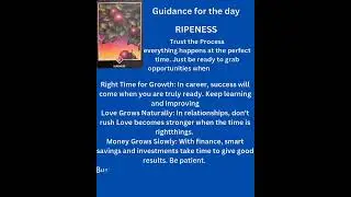 Trust the Process: In life, everything happens at the perfect time. ❤️  ↪️  🐝 🔔 radhe radhe 🙏 &hearts;️