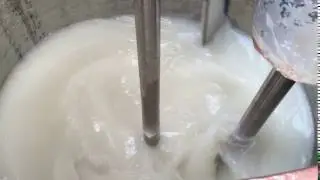 We manufacturing and exporting Twin Shaft Disperser