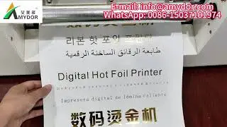Amydor Continuous Paper Feeding Gold Foil Printer Machine AMD360D