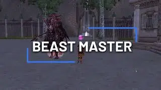 Rappelz Excellent | Guide: Beast Master