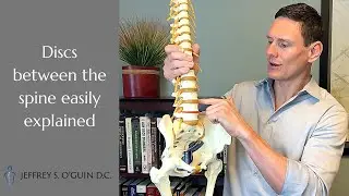 What is a disc? | Lumbar spine disc