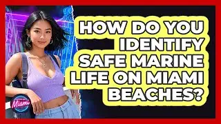 How Do You Identify Safe Marine Life On Miami Beaches? - Everything About Miami