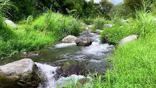 Tranquil River Flow &ndash; 10 Hours of Water ASMR  - Stress, Anxiety Relief & Meditation Sounds