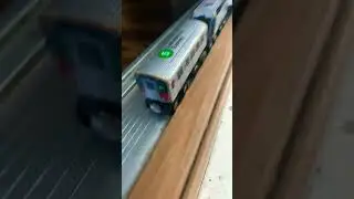 DO NO LEAVE THE 5 TRAIN