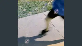 escape vector