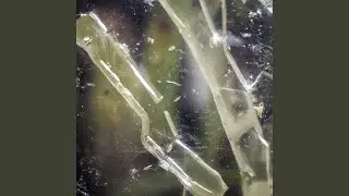X-Control