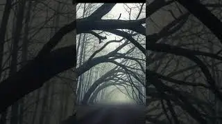 The Man Who Woke Up in the Cemetery