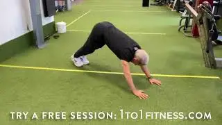 Virtual Personal Training with the DC-Metro Area's Most Elite Trainers