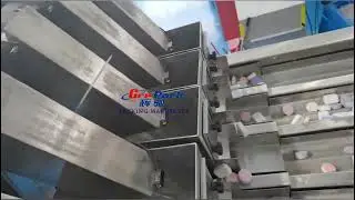 Rotary premade zipper pouch Rectangular compressed bath salt counting packing machine Europe client
