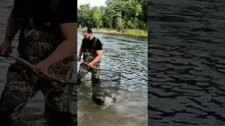 BIG CARP 🐡🐡🐡 #catchfishtechnique #fishingtechniques #amazingfishcatch #catchingfish #fish