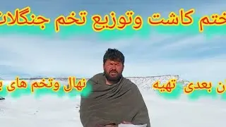 ختم کاشت بزرهای کوهی وپلان جدید برای فصل بهار کدام بزرهارا در بهار بکاریم