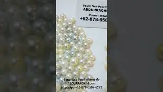 South Sea Pearl Wholesale 👉 WhatsApp +62 878 6502 6222 pearl farm 37